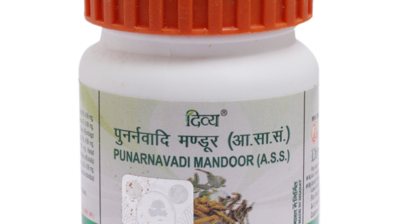 PUNARNAVADI MANDUR 120 TAB 40GM