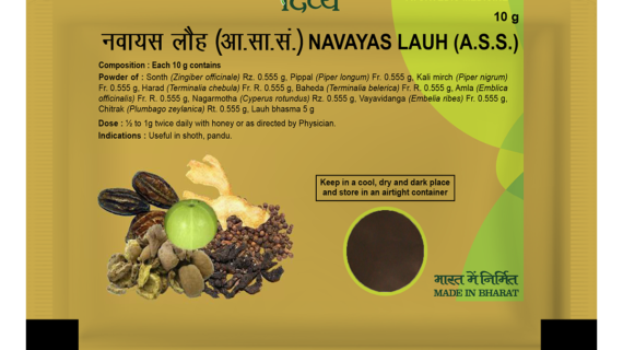 NAVAYAS LAUH 10 GM