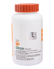 DIVYA CHURAN 100gm.