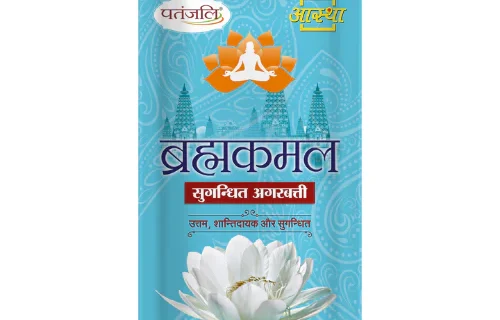 AASTHA AGARBATTI BRAHMKAMAL -120G