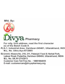 DIVYA AMLA CHURNA 100 G