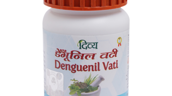 DIVYA DENGUENIL VATI - 80 TABS 67 G