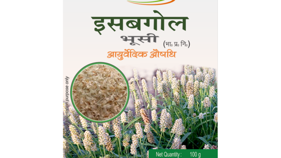PATANJALI ISABGOL BHUSI 100 G