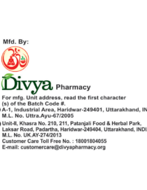 DIVYA NAAGKESAR CHURNA 100 G